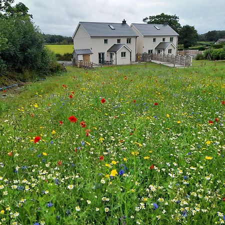 Family Country Cottage With Stunning Mountain Views Myddfai Exterior foto